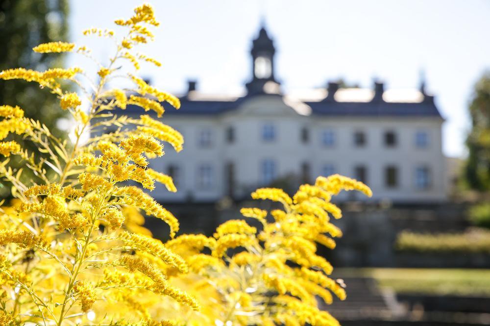 Bed and Breakfast Kaggeholms Slott Ekerö Exterior foto